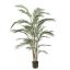ARECA PALM IN POT 150CM GREEN