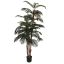 ROBELLINI PALM TREE 180CM GREEN