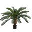 CYCUS PLANT 90CM GREEN