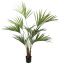 KENTIA PALM X11 150CM GREEN