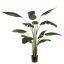 TRAVELLERS PALM 180CM GREEN