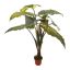 GIANT ALOCASIA TREE 140CM GREEN