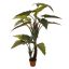 GIANT ALOCASIA TREE X 2 200CM GREEN