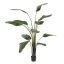 TRAVELLERS PALM 140CM GREEN