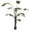 TRAVELLERS PALM 170CM GREEN