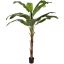 ROYAL BANANA TREE 180CM GREEN