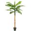 BANANA TREE 270CM GREEN