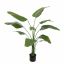 TRAVELLER TREE 150CM GREEN