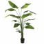 TRAVELLER TREE 210CM GREEN