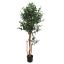 OLIVE TREE 150CM GREEN