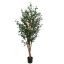 OLIVE TREE 180CM GREEN