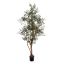 OLIVE TREE 220CM GREEN