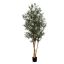 OLIVE TREE 240CM GREEN