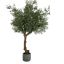 GIANT OLIVE TREE 270CM GREEN