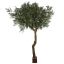 GIANT OLIVE TREE 350CM GREEN