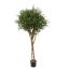 OLIVE TREE 160CM GREEN
