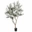 OLIVE TREE 200CM GREEN