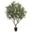 OLIVE TREE 250CM GREEN