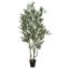 OLIVE TREE 260CM GREEN