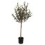 TOPIARY OLIVE TREE 90CM GREEN