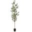OLIVE TREE 210CM GREEN