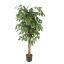 FICUS BASIC 120CM GREEN