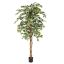 FICUS BASIC 180CM GREEN WHITE