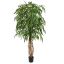 CURVY WEEPING FICUS 180CM GREEN