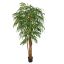 PACIFIC WEEPING FICUS 180CM GREEN