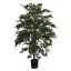 FICUS FOLIA A-TREE 126CM GREEN