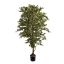 FICUS FOLIA A-TREE 180CM WHITE GREEN