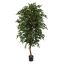 FICUS FOLIA A-TREE 210CM GREEN