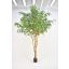 FICUS NATASJA TREE 330CM GREEN