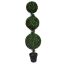 TOPIARY X3 BOXWOOD 150CM GREEN