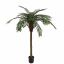 CYCUS PALM X25 150CM GREEN