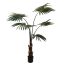 FAN PALM 120CM GREEN