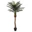 PHOENIX PALM 160CM GREEN