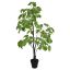 LEAF TREE IN POT 170CM GREEN BROWN