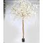 LARGE BLOSSOM TREE 350CM CREAM