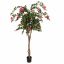 BOUGAINVILLEA TREE 180CM FUCHSIA