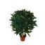 SWEET BAY BALL 35CM GREEN