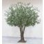 FR GIANT OLIVE TREE GREEN