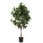 SWEET LINK TREE 120 CM GREEN