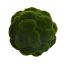 MOSS BALL DIA 22 CM GREEN