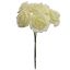 FOAM MINI ROSE BUNDLE X 6 LIGHT GREEN