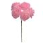 FOAM MINI ROSE BUNDLE X 6 PINK