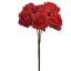FOAM SMALL ROSE BUNDLE X 6 RED