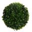 BOXWOOD BALL DIA: 18 CM GREEN