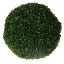 BOXWOOD BALL DIA: 39 CM GREEN