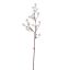 GLITTER SKIMMIA SPRAY 64CM SILVER